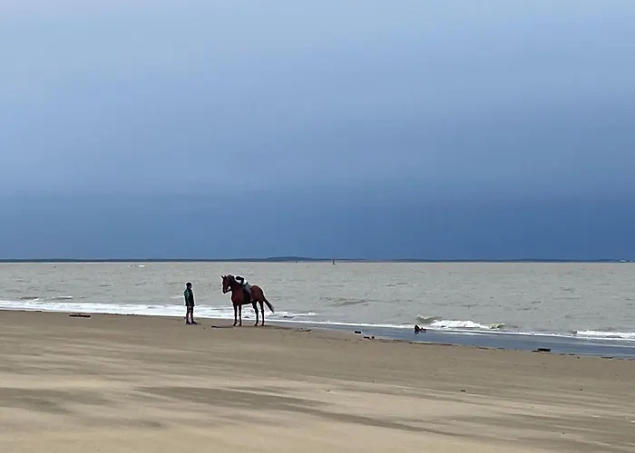 Hébergement de vacances Pleasant 3bed Mobilhome Siblu Bonne Anse La Palmyre *