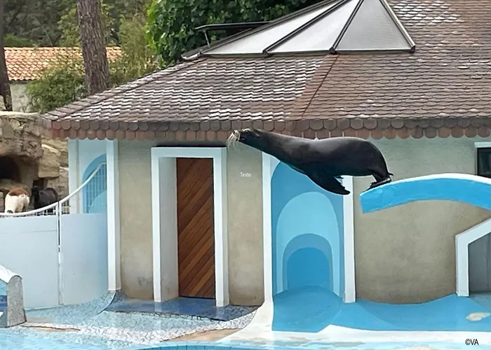 Pleasant 3bed Mobilhome Siblu Bonne Anse La Palmyre *